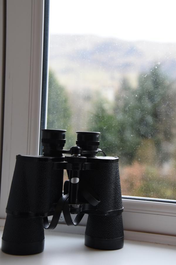 Craig Villa Guest House Dalmally Buitenkant foto
